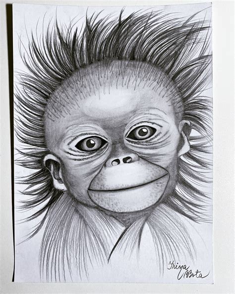 Best Free Monkey Pencil Sketch Drawing Free For Download - Sketch Art ...