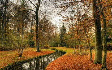 autumn, River, Forest Wallpapers HD / Desktop and Mobile Backgrounds