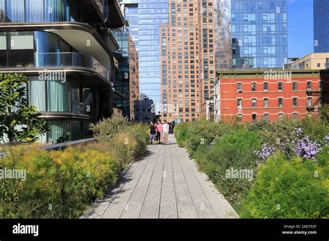 High Line Park, Manhattan, New York City, New York, United States of ...