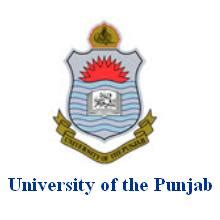 Stenographer Jobs in Punjab University Lahore | Governmnt and Private ...