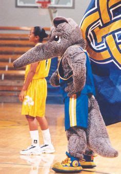 The Anteater (UCI Mascot)