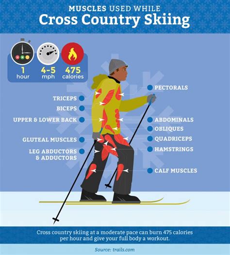 Snowshoeing or Cross-Country Skiing: Which to Try