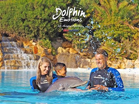 Dolphin Emotions in Algarve