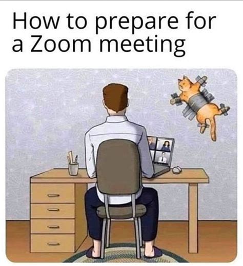 Zoom meeting memes - plegain