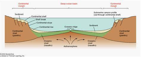 Ocean Floor Profile Diagram | Review Home Co