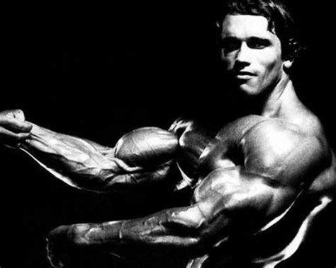 Arnold Bodybuilding Wallpapers - Wallpaper Cave