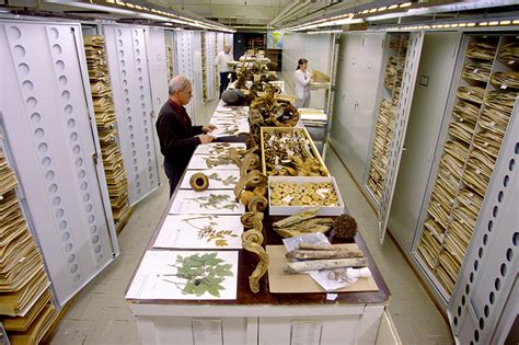 inside the archives: storage at the smithsonian natural history museum