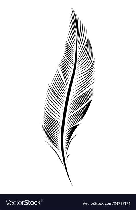 Feather drawing engraving line art Royalty Free Vector Image