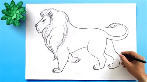 Lion Drawing Easy Step By Step