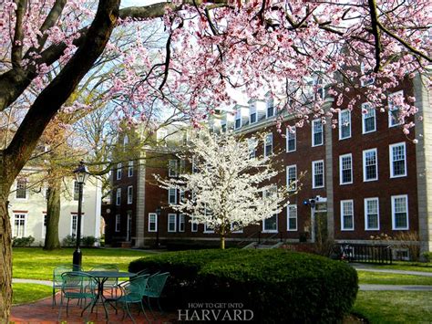 Harvard Campus Tour: 15 Best Places to Visit at Harvard - How to Get ...