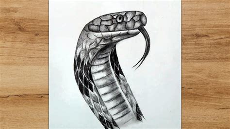 Pencil Drawings Of Snake Heads