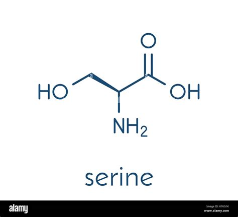 Serine molecule hi-res stock photography and images - Alamy