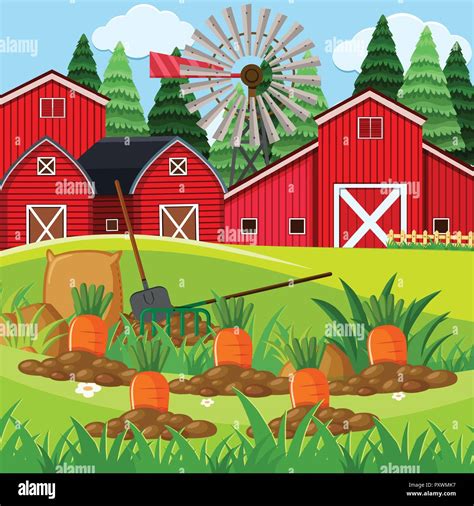 Farm scene with carrot garden illustration Stock Vector Image & Art - Alamy