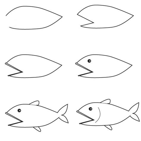 Drawing of simple fish 10 step by step lessons part 3 – Artofit