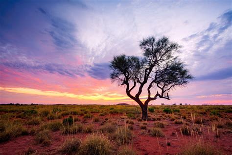 Should I Still Travel to Australia? Your Bushfire Questions Answered ...