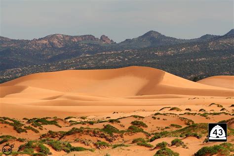 Coral Pink Sand Dunes – Utah State Route 43 - TWO UP RIDERS