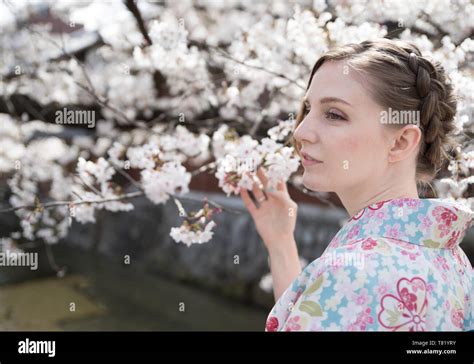 Cherry blossoms in Gion Kyoto Stock Photo - Alamy