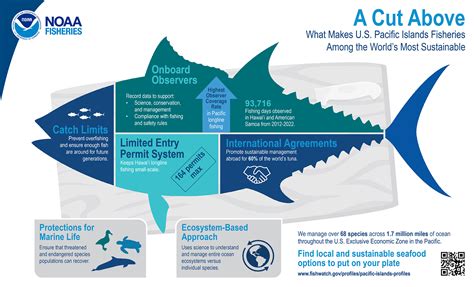 “A Cut Above” Pacific Islands Sustainable Fisheries Infographic | NOAA ...