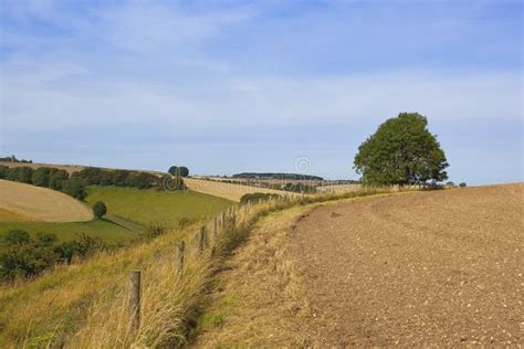 Late summer landscape stock photo. Image of outdoors - 59798656