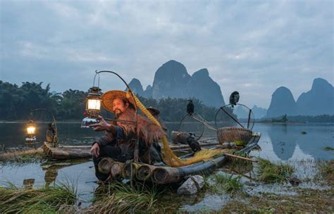 Cormorant Fishing: The Mysterious Past of a Dying Tradition | WildChina