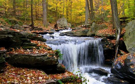 Forest Waterfall Wallpapers - Wallpaper Cave