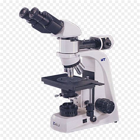 😂 Bright field light microscope. Bright. 2019-02-01