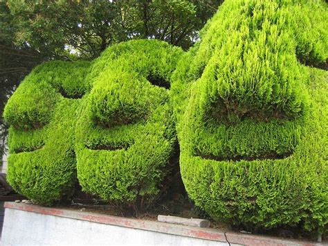 faces | Topiary garden, Topiary, Garden inspiration