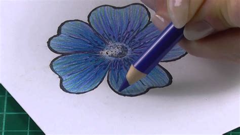 Colouring technique with coloured pencils flowers | Pencil drawings of ...