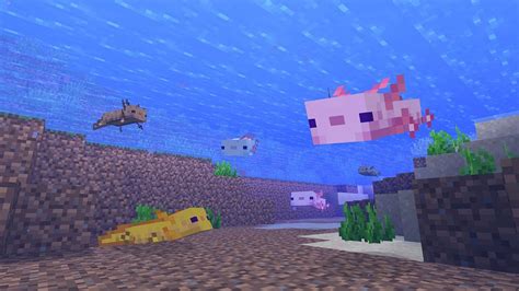 Minecraft axolotl - how to find, tame, or breed the new mob | GamesRadar+