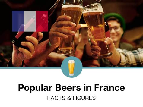 Top 10 Best-Selling Beers in France (2024)