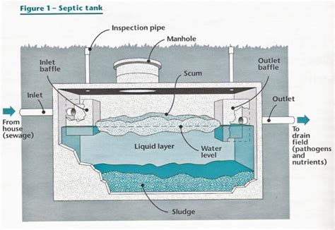 Septic Tank Maintenance, Septic Tank Pumping, Septic System Service