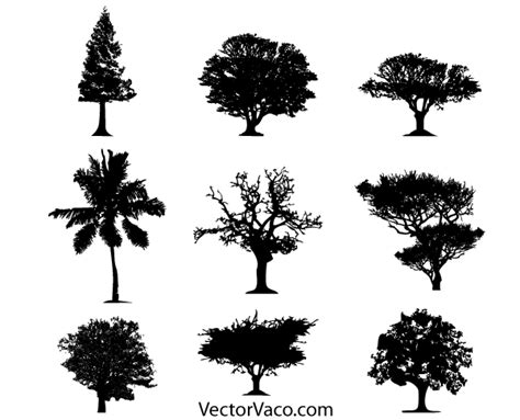 Tree Silhouette Vector Free Download