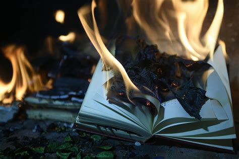 Burning Book Page · Free Stock Photo