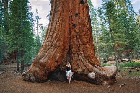 Best Hikes Sequoia National Forest | California Wanderland