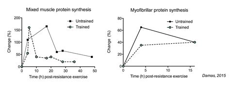 The Ultimate Guide to Muscle Protein Synthesis