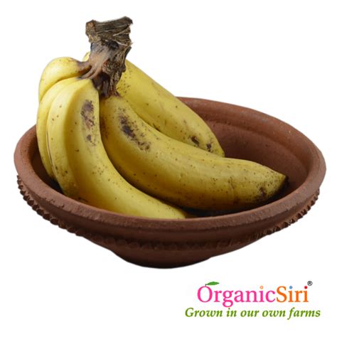 Organic Banana 6pc - OrganicSiri Farms