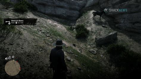 All dinosaur bone locations in Red Dead Redemption 2 | Shacknews