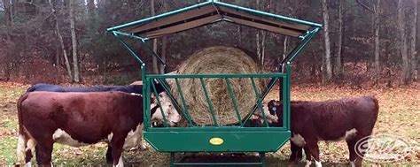 How Many Cows Does A Round Bale Feed - All About Cow Photos