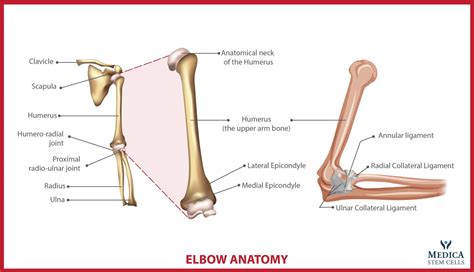 Elbow Pain Treatment | Ahmedabad India & Ireland