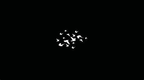 1125x2436 Birds Flying Minimalist Dark 4k Iphone XS,Iphone 10,Iphone X ...