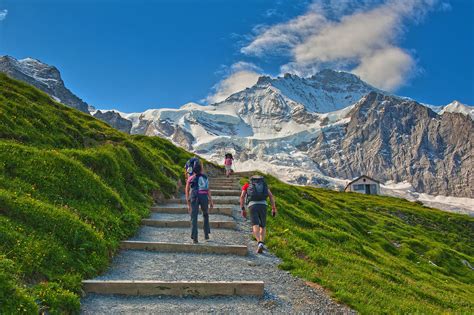 Walking up to the Eiger Trail. Up in the pic The Jungfrau … | Flickr