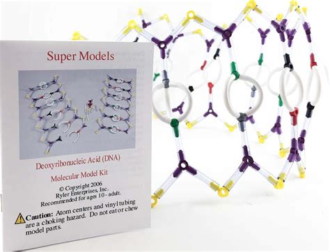 Super Models: DNA Molecular Model Kit | DNA Model Building Kit