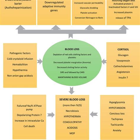 (PDF) Hemorrhagic Shock