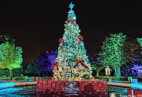 Christmas tree at Sea World San Antonio in San Antonio, Te… | Flickr