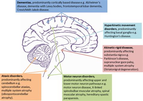 Neurodegenerative Disorders | Neupsy Key