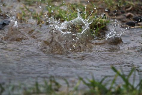 Splashing Rain in the Puddle Stock Image - Image of abstract, drops ...