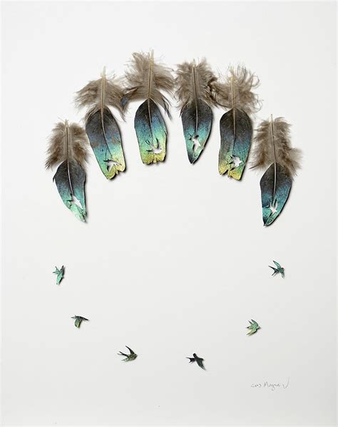 Feathers, Form and Function: New Cut Feather Artwork by Chris Maynard ...