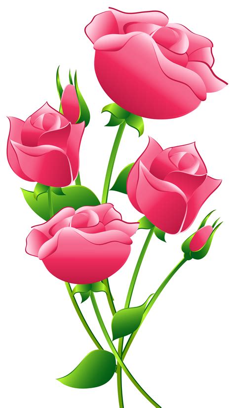 Pink Roses Transparent PNG Clip Art Image | Roses drawing, Flower ...