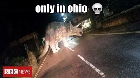 Only in Ohio meme by GabrielMejia1999 on DeviantArt