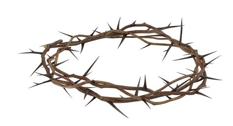 crown of thorns png 20 free Cliparts | Download images on Clipground 2024